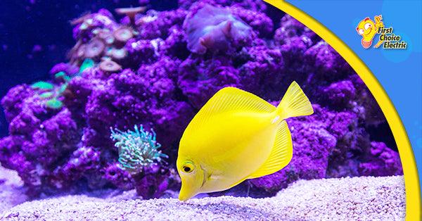 reef_aquarium - First Choice Electric